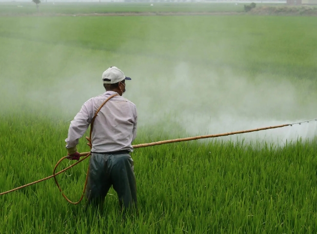 [亚洲必赢国际437app] 杀虫剂行业中的氮气使用